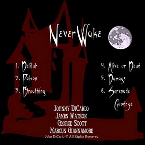 NeverWake - Demo (2010)
