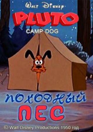 Походный пес / Camp Dog (1950 / DVDRip)