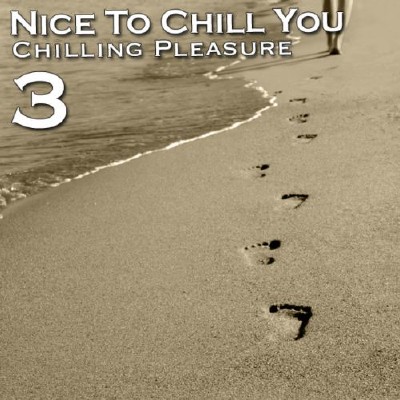 VA - Nice To Chill You 3 (2011)
