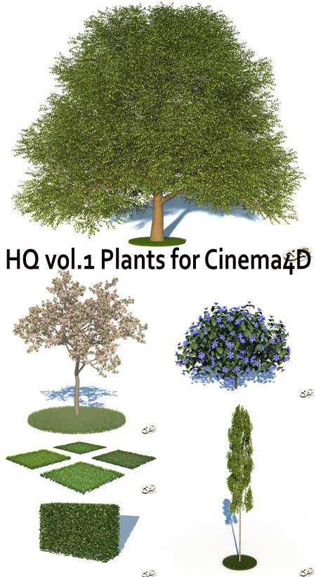 HQ vol.1 Plants for Cinema4D