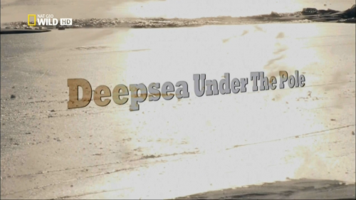     / Deepsea Under The Pole (Thierry Robert) [2010 ., , HDTV 1080i]