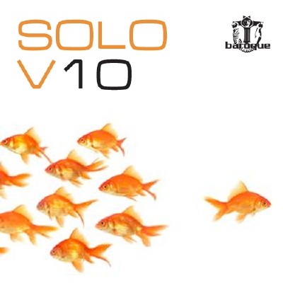 VA - Solo v10 (2011)