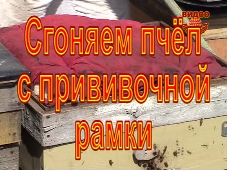 http://i27.fastpic.ru/big/2011/1117/e9/c065e370c9757649fa178e4ceb27a7e9.jpg