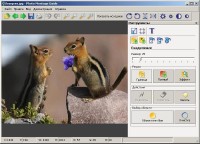 Photo Montage Guide 1.4 Portable (Eng/Rus)