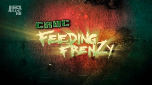    / Crocodile Feeding Frenzy ( ø / Scott Gurney) [2008 ., , HDTVRip 720p]