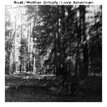 Bust&#8203;/&#8203;Mother Grizzly&#8203;/&#8203;Love American Split (2011)