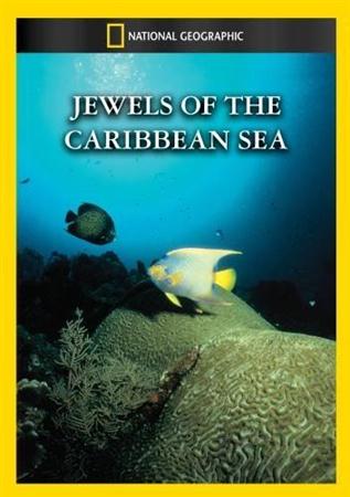    / Jewels of the Caribbean sea (1994) DVDRip