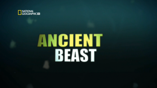 -.   / Monster fish: Ancient Beast (Dana Kemp) [2010 .,  , , HDTV 1080i]