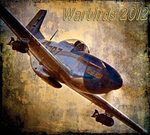 Warbirds 2012 (2011/ENG/RIP by TeaM CrossFirE)