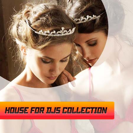 House for djs collection vol.2 (2012)