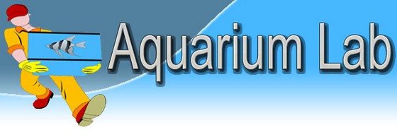 SeaApple Aquarium Lab 2012.3.2