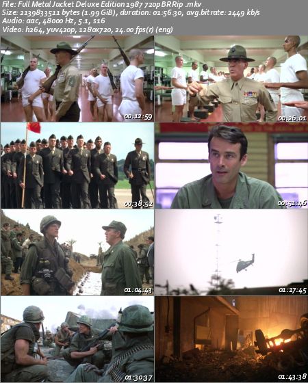 Full Metal Jacket (1987) Deluxe Edition 720p BRRip x264 - vice
