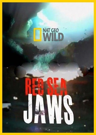 Челюсти Красного моря / Red Sea Jaws (2011 / SATRip)