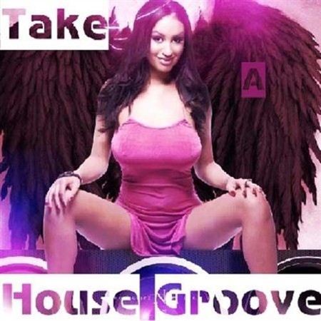 Take A House Groove (2012) MP3
