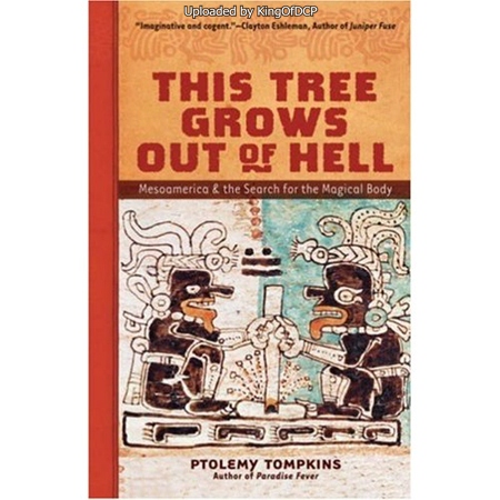 This Tree Grows Out of Hell: Mesoamerica & the Search for the Magical Body