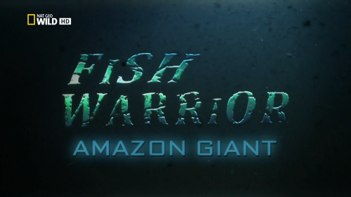    :   / Fish warrior. Amazon giant [2010 .,  , , HDTV 1080i]