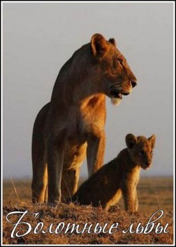 National Geographic. Болотные львы / National Geographic. Swamp Lions (2011) HDTV 1080i