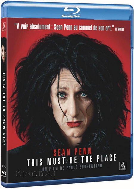 This Must Be The Place (2011) LIMITED BDRip XviD-xTriLL