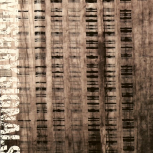 Misery Signals - Discography (2003-2008)