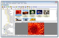 XnView 1.99.0 Complete Rus
