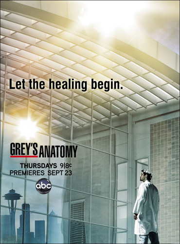 Анатомия страсти (Анатомия Грей) / Grey's Anatomy (8 сезон / 2011) HDTVRip/WEB-DLRip