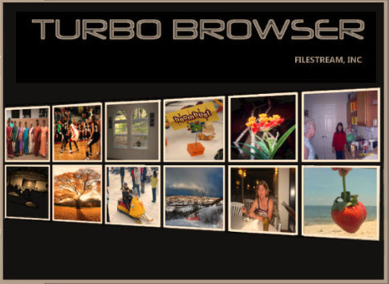 FileStream Turbo Browser 11.6.002060417
