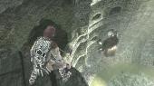 The ICO and Shadow of the Colossus Collection (2011/ENG/PS3)