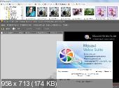 Movavi Video Suite 10 SE PORTABLE (2013/Rus)