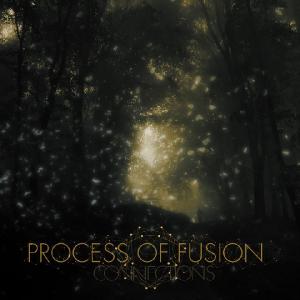 Process of Fusion - Connections [EP] (2011)