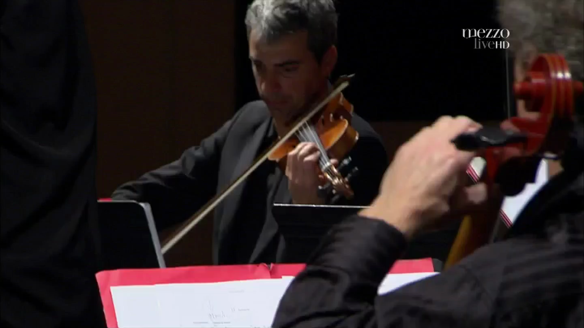 2010 Richard Galliano - Plays Bach Live at Nancy Jazz Pulsations [HDTV 1080i] 1