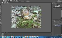 Adobe Photoshop CS6 13.0 Pre Release (2011) x86 / ENG