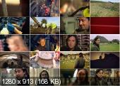BBC.    (1-4   4) / BBC. The World After Stonehendge (2011) SATRip
